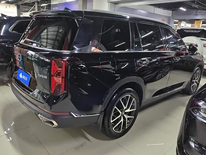 GAC Trumpchi GS8, 2024 — фото 3 из 9