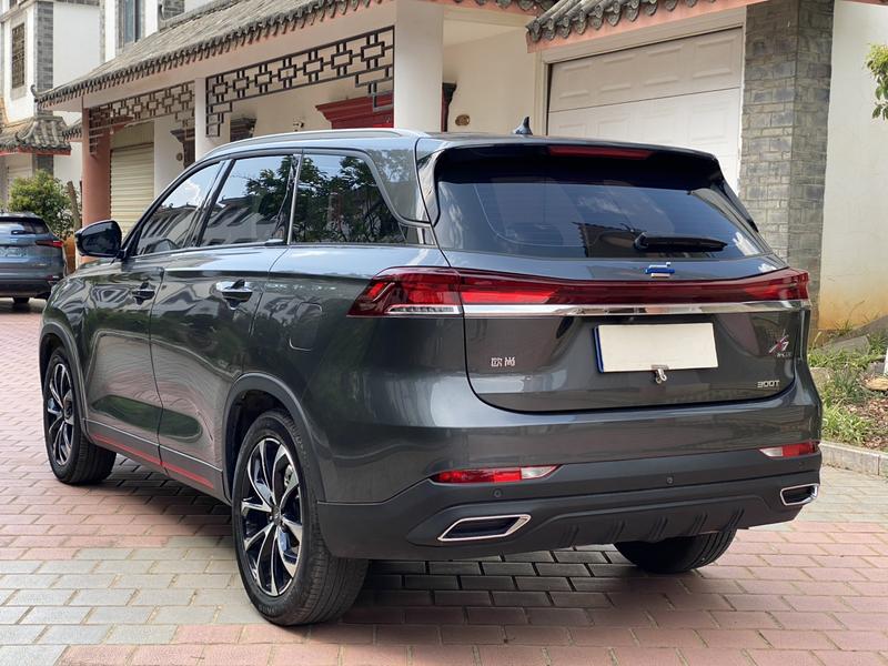 Changan Oshan X7 Plus, 2023 — фото 4 из 12
