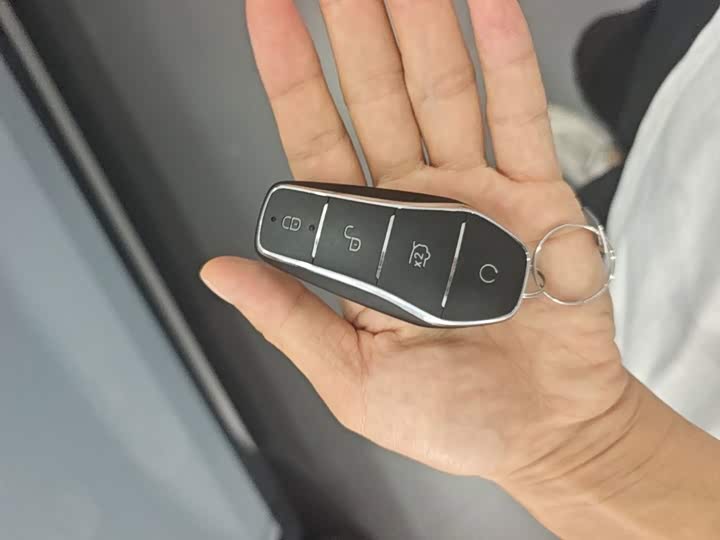 BYD Song L DM-i Hybrid, 2024 — фото 9 из 9