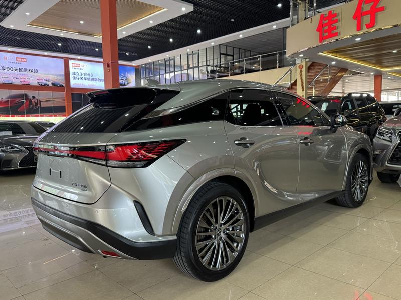 Lexus RX, 2023 — фото 6 из 12