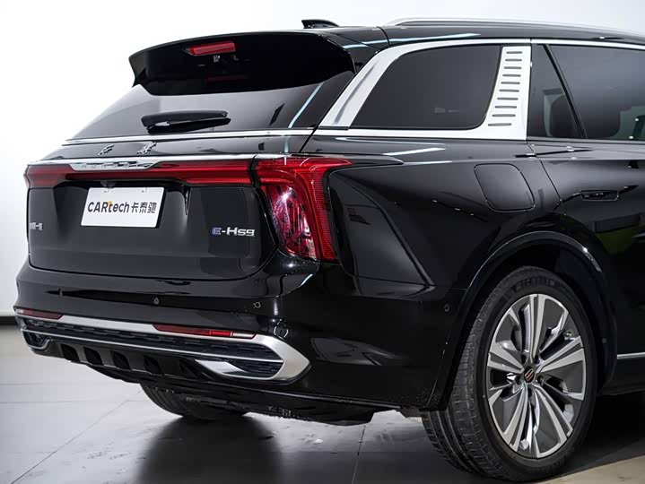 Hongqi E-HS9, 2023 — фото 7 из 9