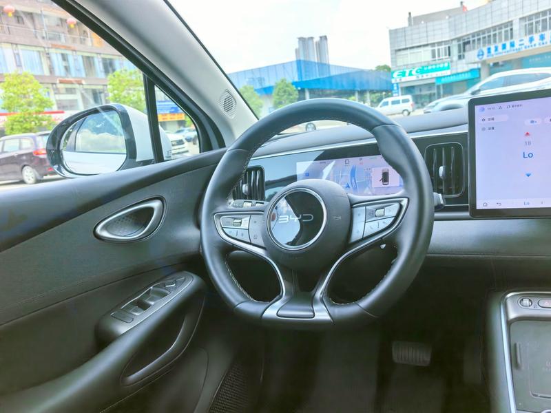 BYD Sea Lion 05 EV, 2025 — фото 9 из 12