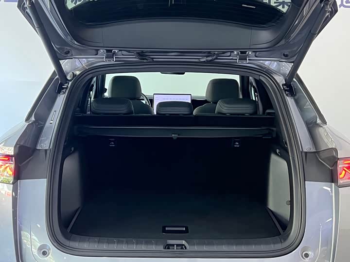 BYD Song L DM-i Hybrid, 2024 — фото 8 из 9
