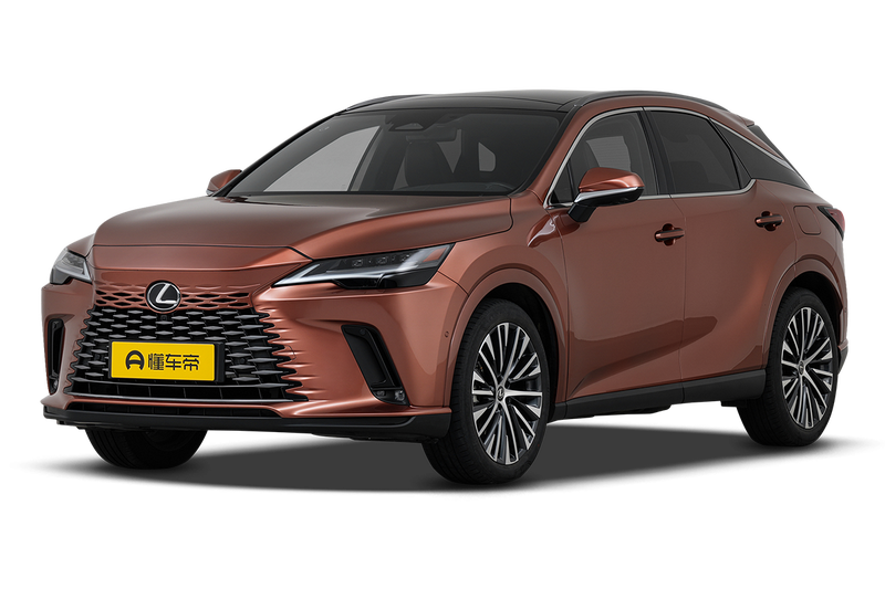 Lexus RX Hybrid, 2023 — фото 10 из 10