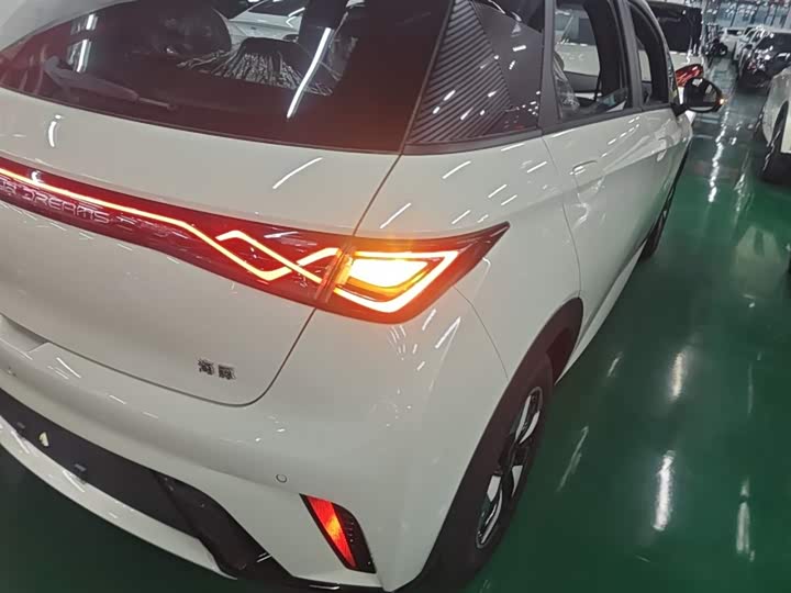 BYD Dolphin, 2026 — фото 8 из 9