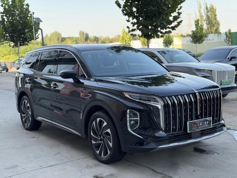 Hongqi HS7 Hybrid, 2024 — фото 3 из 12