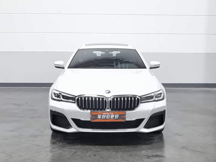 BMW 5 Series Hybrid, 2021 — фото 3 из 9