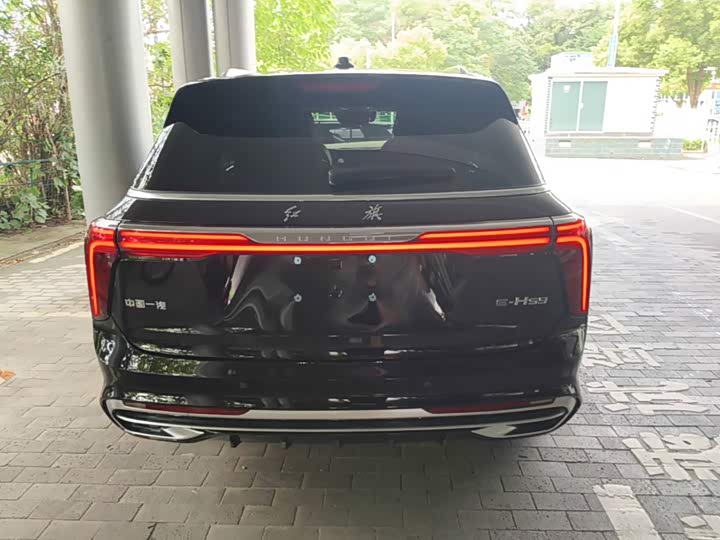 Hongqi E-HS9, 2023 — фото 6 из 9