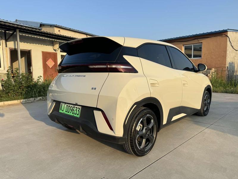 BYD Seagull, 2024 — фото 7 из 11