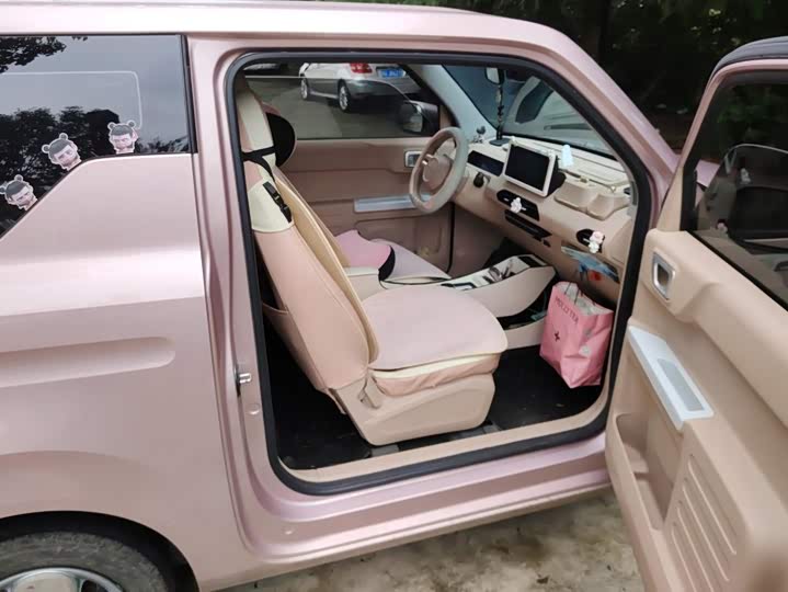 Geely Galaxy Panda Mini, 2023 — фото 8 из 9