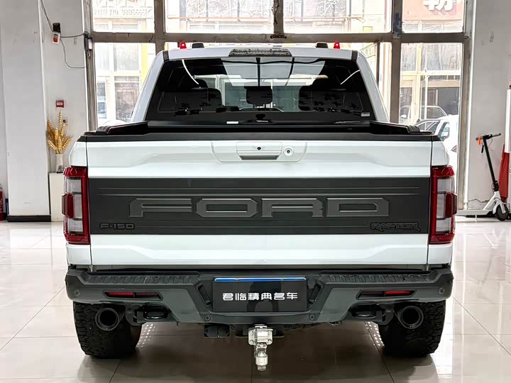 Ford F-150 Raptor, 2024 — фото 6 из 9