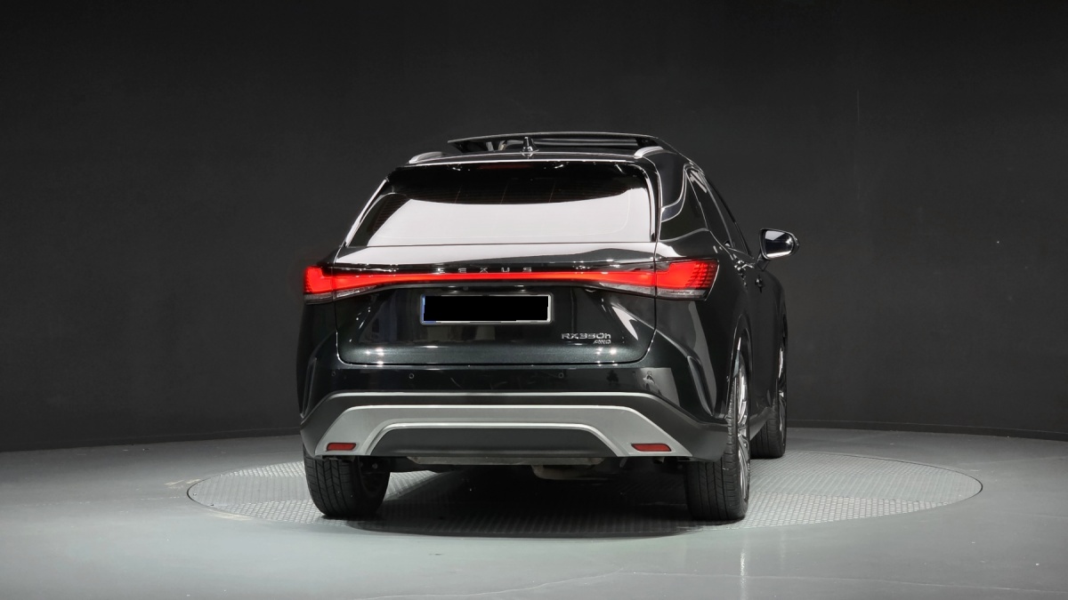 Lexus RX, 2024 — фото 4 из 12