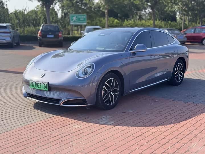 Ora Lightning Cat (07), 2022 — купить в Самаре под ключ
