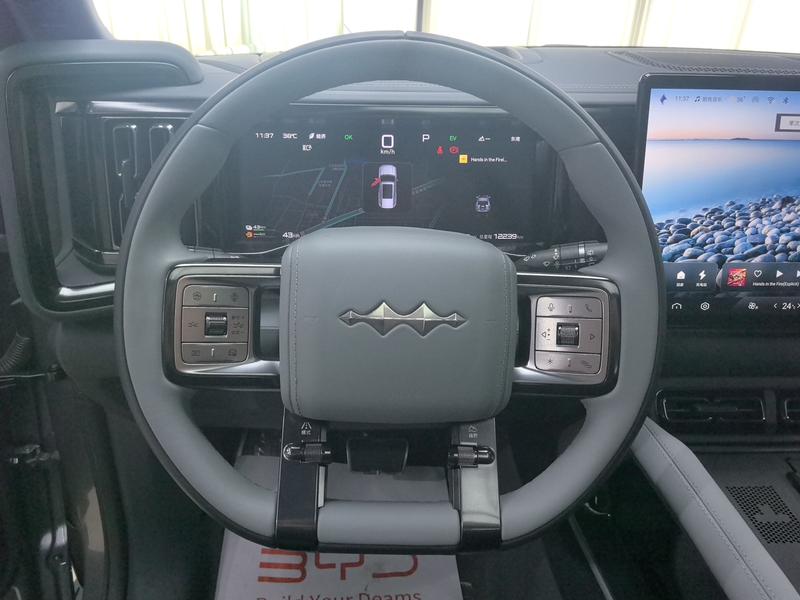 BYD FangChengBao Leopard 5, 2023 — фото 12 из 12