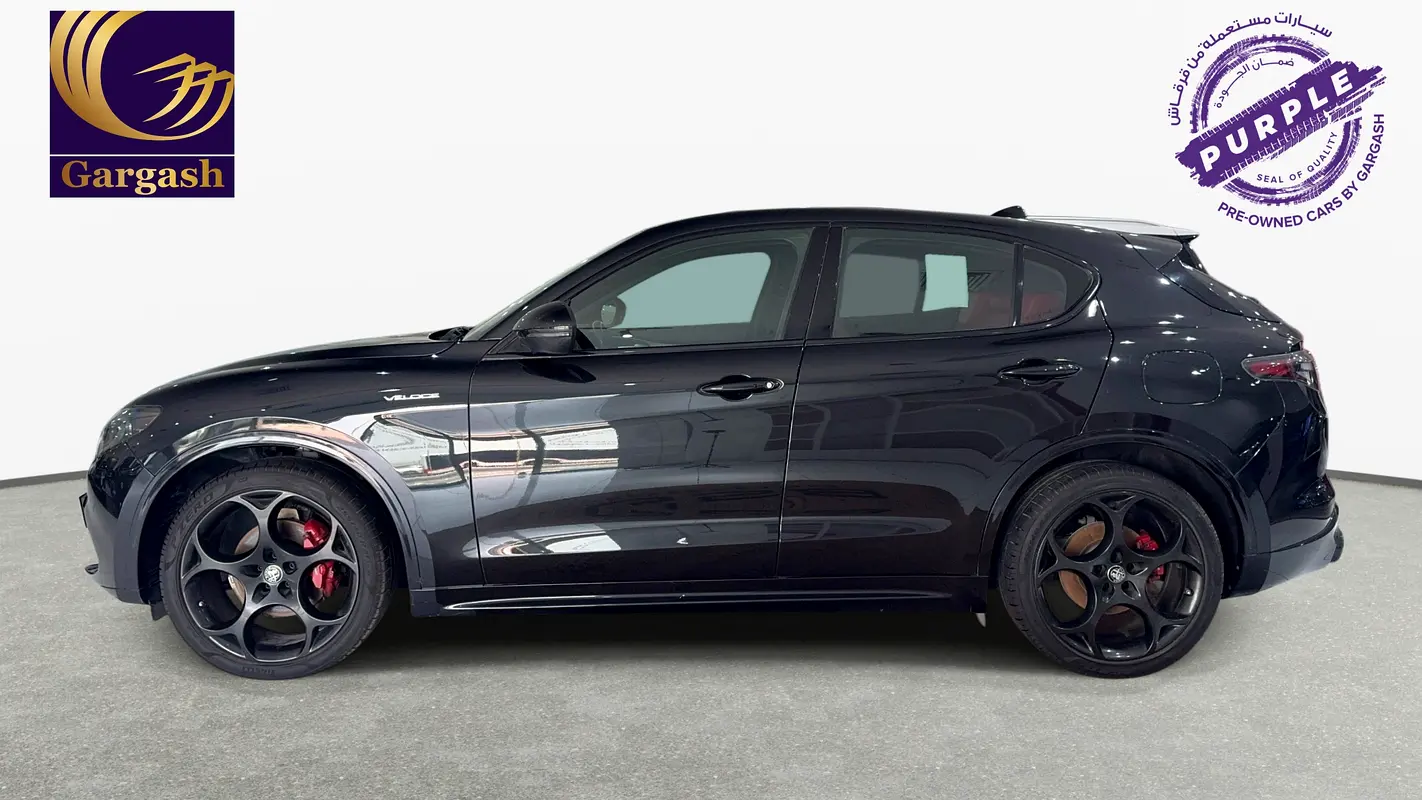 Alfa Romeo Stelvio, 2024 — фото 3 из 10