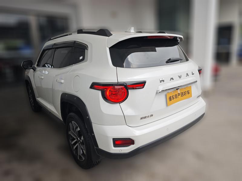 Haval H-Dog, 2023 — фото 4 из 12