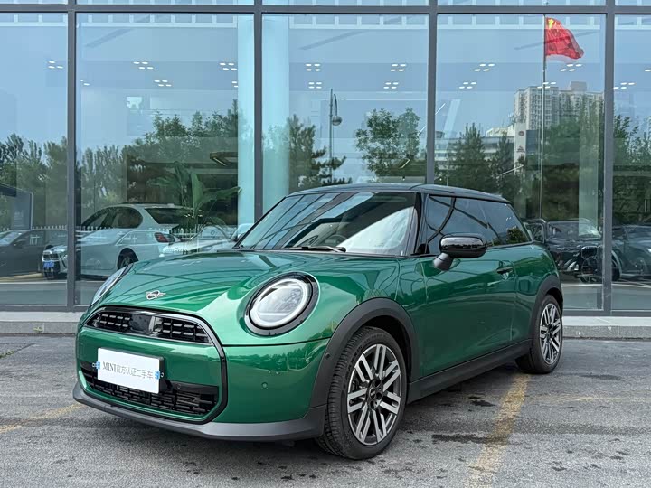 Mini Mini, 2025 — купить в Тольятти под ключ