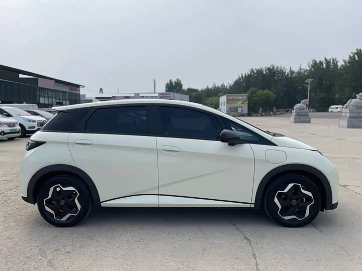BYD Dolphin, 2022 — фото 4 из 9