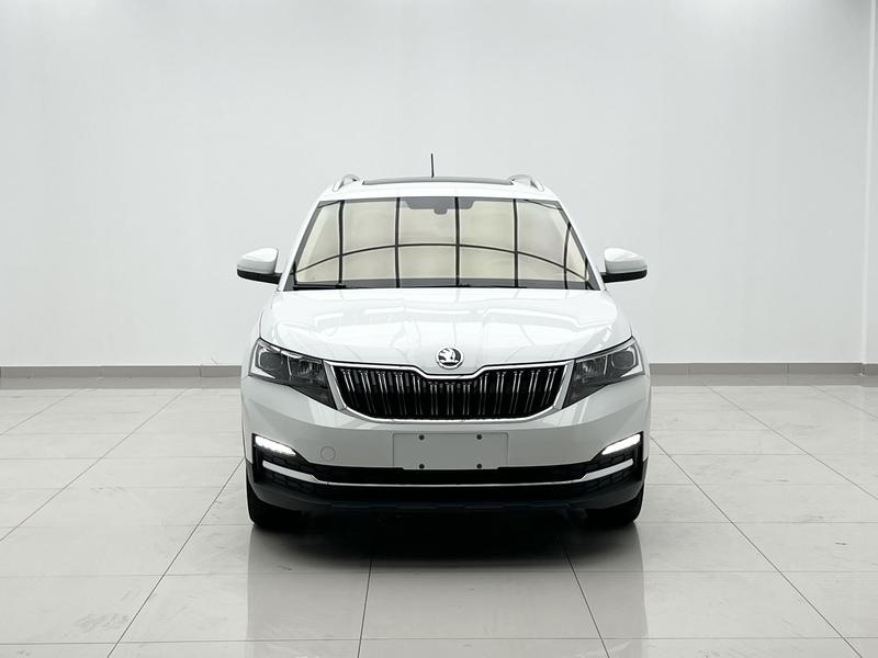 Skoda Kamiq, 2024 — фото 2 из 12
