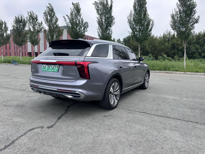 Hongqi E-HS9, 2023 — фото 5 из 12