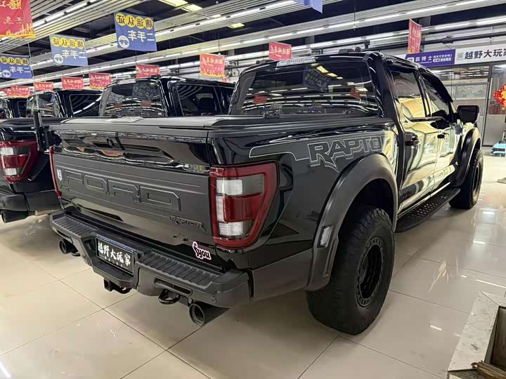 Ford F-150 Raptor, 2023 — фото 8 из 9