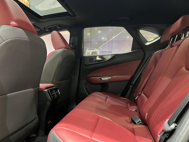 Lexus NX, 2023 — фото 9 из 12