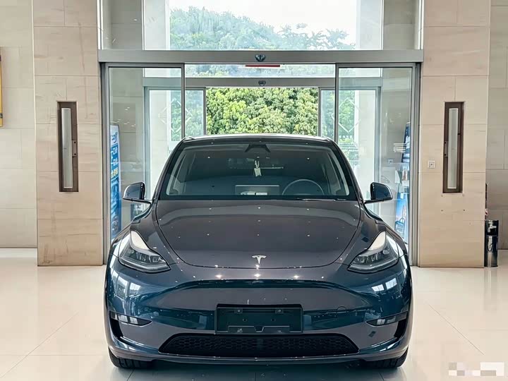 Tesla Model Y, 2024 — фото 2 из 9