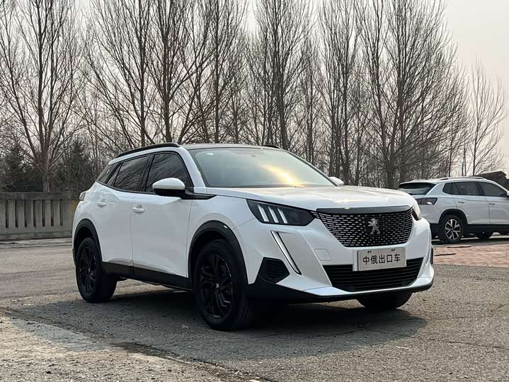 Peugeot 2008, 2022 — фото 3 из 9