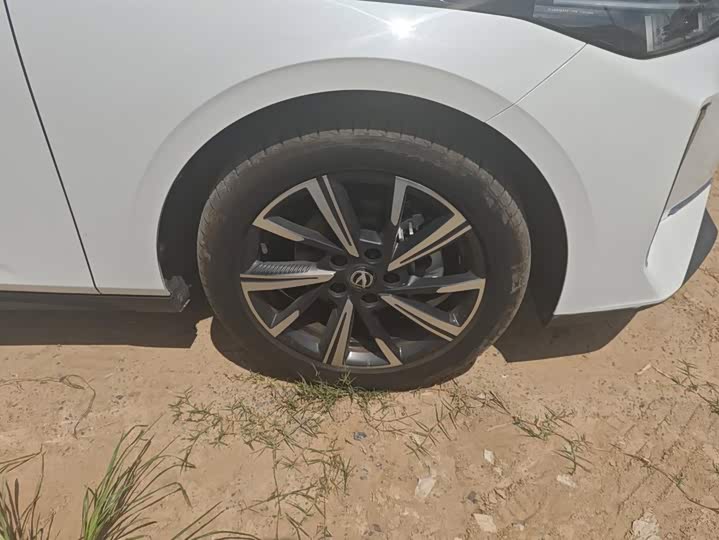 Changan Eado Plus, 2024 — фото 6 из 9