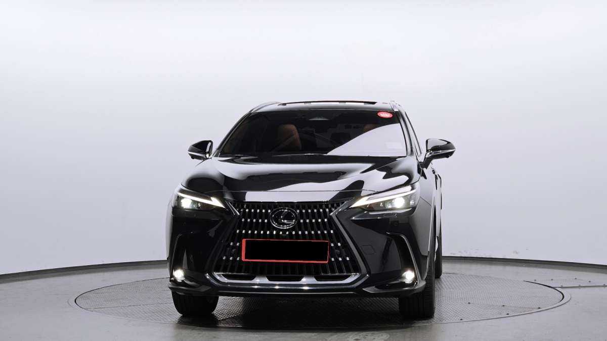 Lexus NX, 2023 — фото 3 из 12