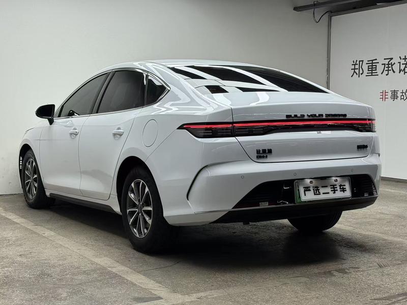 BYD Destroyer 05, 2024 — фото 4 из 12