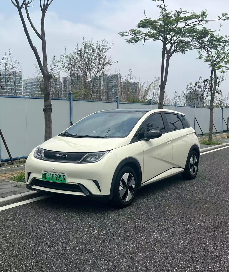 BYD Dolphin, 2023 — купить в Перми под ключ