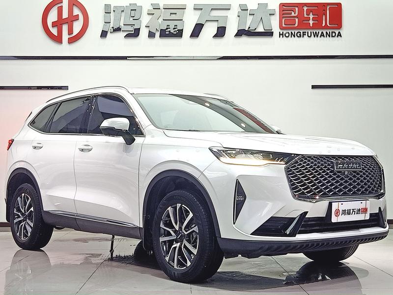 Haval H6, 2021 — фото 3 из 12