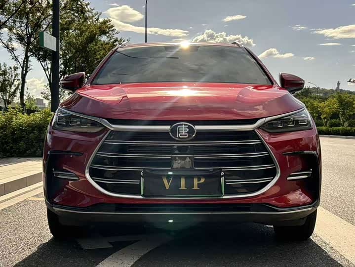 BYD Tang Hybrid/EV, 2021 — фото 2 из 9