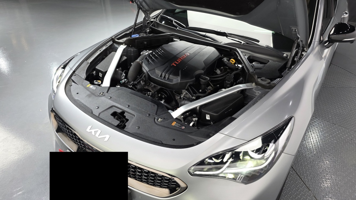 Kia Stinger, 2022 — фото 6 из 12