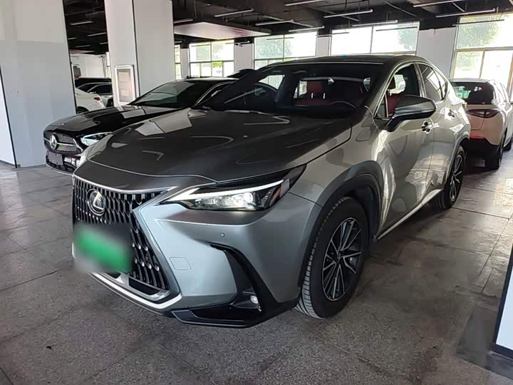 Lexus NX Hybrid, 2024 — фото 2 из 9