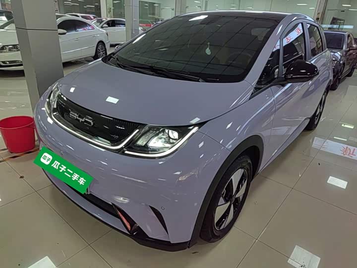BYD Dolphin, 2023 — купить в Владимире под ключ