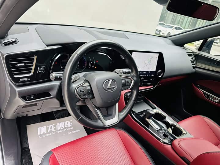 Lexus NX, 2023 — фото 9 из 9