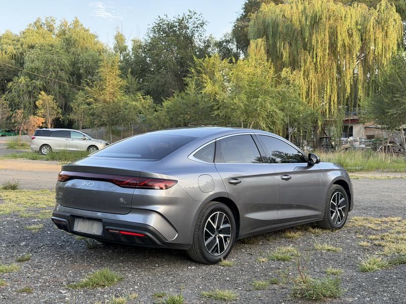 BYD Qin L, 2024 — фото 6 из 12