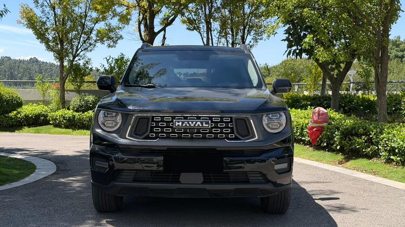 Haval H-Dog, 2023 — фото 2 из 11