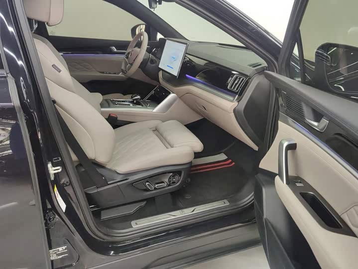 BYD Tang Hybrid/EV, 2024 — фото 8 из 9