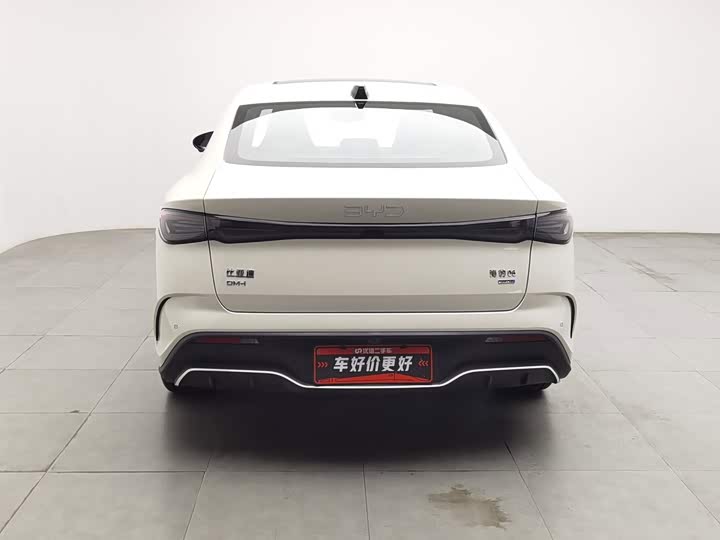 BYD Seal 06 Hybrid/EV, 2024 — фото 4 из 9
