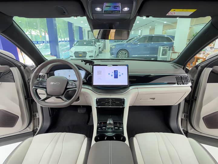 BYD Song Plus Hybrid/EV, 2025 — фото 5 из 9