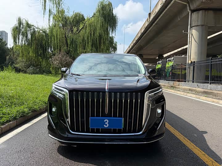 Hongqi HQ9 Hybrid, 2024 — фото 2 из 9