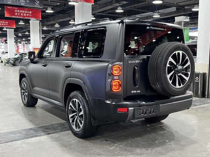 Haval H9, 2024 — фото 4 из 12