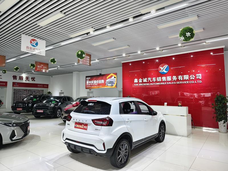Geely Vision X3, 2021 — фото 7 из 12
