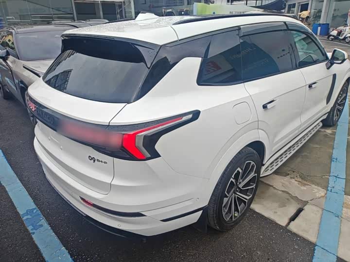 Lynk & Co 09 EM-P Hybrid, 2022 — фото 7 из 9