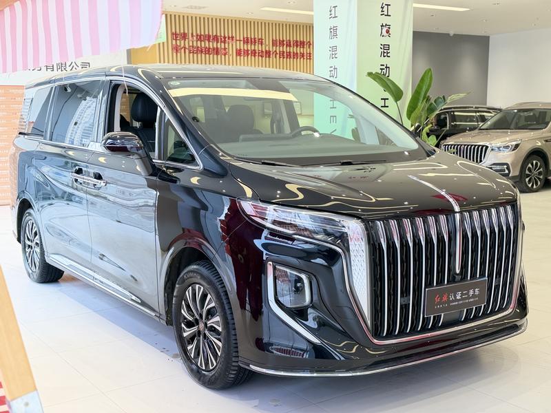 Hongqi HQ9 Hybrid, 2024 — фото 3 из 12