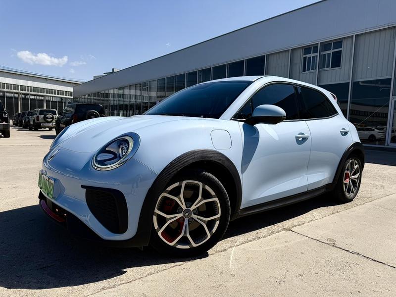 Ora Good Cat GT (03 GT), 2022 — купить в Самаре под ключ