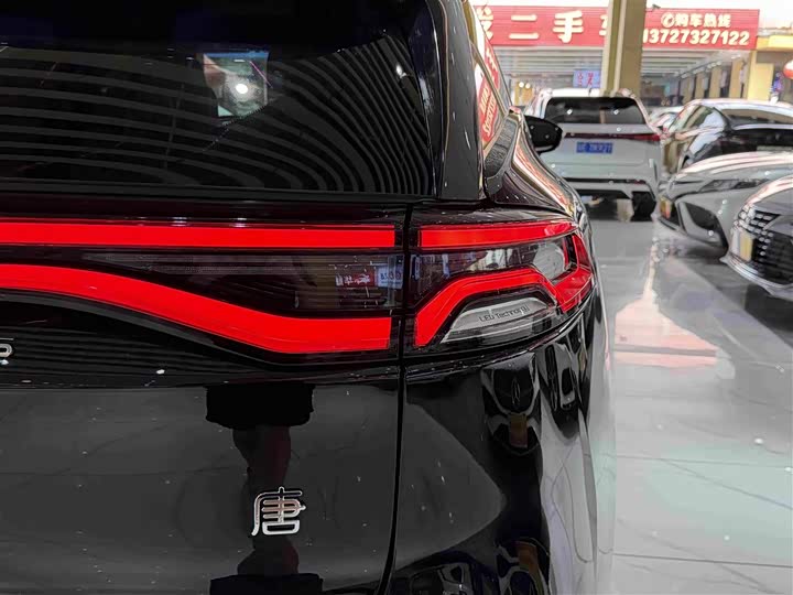 BYD Tang Hybrid/EV, 2023 — фото 8 из 9